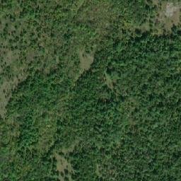 Satellite imagery of Basswood Hill, CA