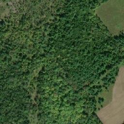 Satellite imagery of Basswood Hill, CA