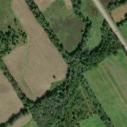 Satellite imagery of Basswood Hill, CA