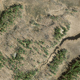 Satellite imagery of Indian Point, US