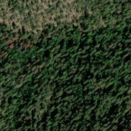 Satellite imagery of Cougar Ridge, US