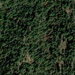 Satellite imagery of Cougar Ridge, US