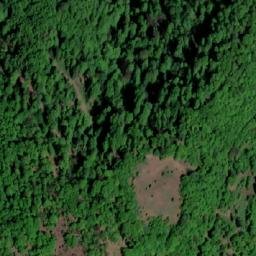 Satellite imagery of Jasenovac, BA