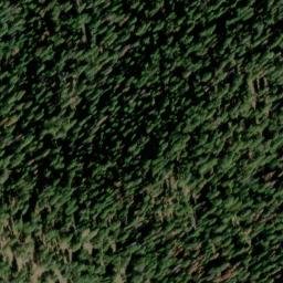 Satellite imagery of Cougar Ridge, US
