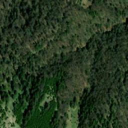 Satellite imagery of Svinjska Glava, BA