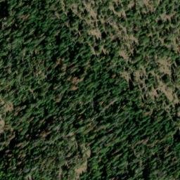 Satellite imagery of Cougar Ridge, US