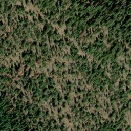 Satellite imagery of Cougar Ridge, US