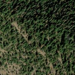 Satellite imagery of Cougar Ridge, US