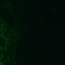 Satellite imagery of Mary Island, US