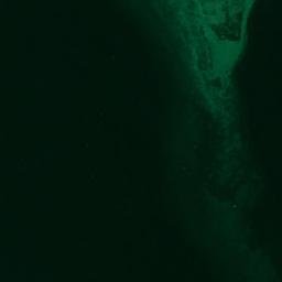Satellite imagery of North Point, US