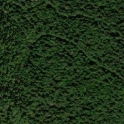 Satellite imagery of Tisova Kosa, BA