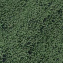 Satellite imagery of Dicks Ridge, US