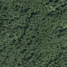 Satellite imagery of Dicks Ridge, US
