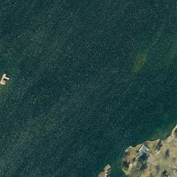 Satellite imagery of Anthony Point, US