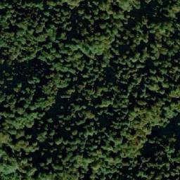 Satellite imagery of Miljeva Kosa, RS