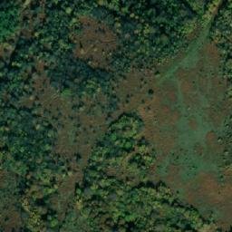 Satellite imagery of Borogovo, BA