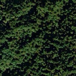 Satellite imagery of Miljeva Kosa, RS