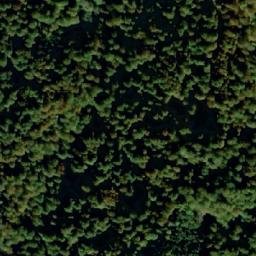 Satellite imagery of Miljeva Kosa, RS