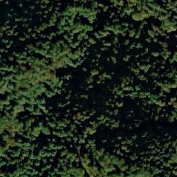 Satellite imagery of Miljeva Kosa, RS