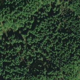 Satellite imagery of Bummer Ridge, US