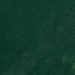 Satellite imagery of Pine Point, CA