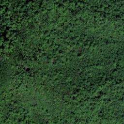 Satellite imagery of Plećinska Kosa, BA