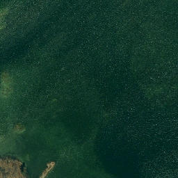 Satellite imagery of Pine Point, CA