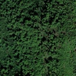 Satellite imagery of Plećinska Kosa, BA