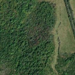 Satellite imagery of Gibsons Hill, CA