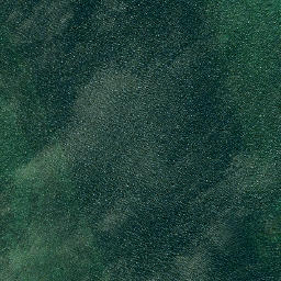 Satellite imagery of Picnic Point, US