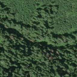 Satellite imagery of Howell Ridge, US