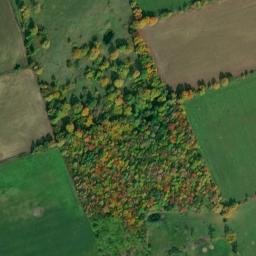 Satellite imagery of English Hill, CA