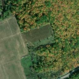 Satellite imagery of Oak Point, CA