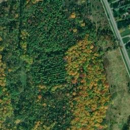 Satellite imagery of Ferris Hill, CA