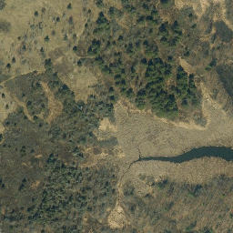 Satellite imagery of Picnic Point, US