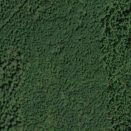 Satellite imagery of Bunchgrass Ridge, US