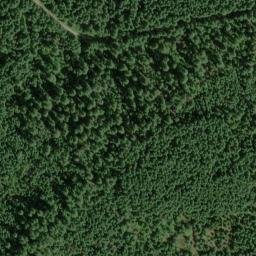 Satellite imagery of Bunchgrass Ridge, US