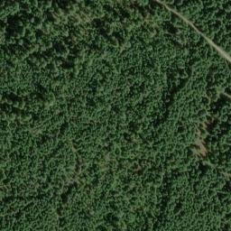 Satellite imagery of Bunchgrass Ridge, US