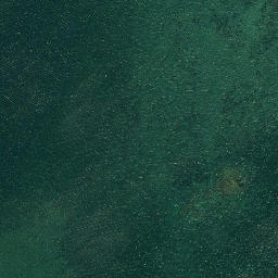 Satellite imagery of Point Angiers, US