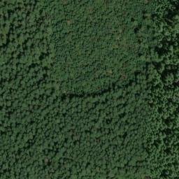 Satellite imagery of Bunchgrass Ridge, US
