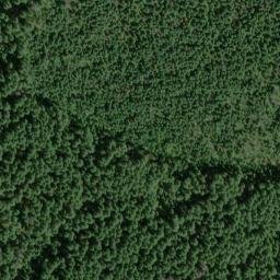 Satellite imagery of Bunchgrass Ridge, US