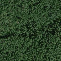 Satellite imagery of Bunchgrass Ridge, US