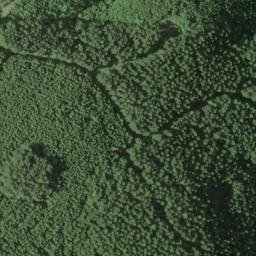 Satellite imagery of Cougar Ridge, US