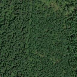 Satellite imagery of Bunchgrass Ridge, US