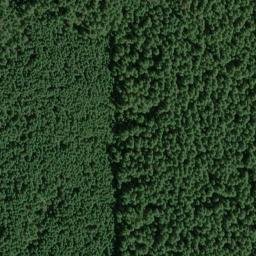 Satellite imagery of Bunchgrass Ridge, US
