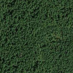 Satellite imagery of Bunchgrass Ridge, US
