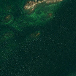 Satellite imagery of McRay Point, US