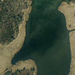 Satellite imagery of Webster Point, US