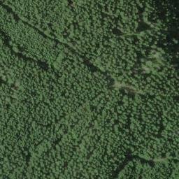 Satellite imagery of Cougar Ridge, US