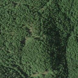 Satellite imagery of Cougar Ridge, US
